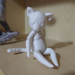 IMG_20210723_163005015.jpg Download free STL file Basic cat doll • 3D printable template, infected