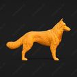 1734-Belgian_Shepherd_Dog_Tervueren_Pose_01.jpg Belgian Shepherd Dog Tervueren Dog 3D Print Model Pose 01