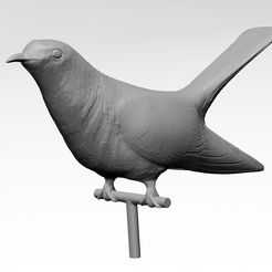 R1_Cuckoo.jpg STL file Cuckoo figurine・Design to download and 3D print, rmilushev