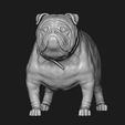 20.jpg Bulldog model 3D print model