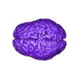 bf3920b4-2cf1-49ca-8459-83adf60b9043.stl Bobbling Brain