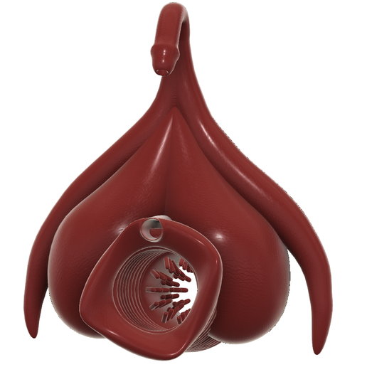 Male Masturbator for handjob jerking Cup Soft Pussy Sex Toys "Vagina  Vulva Clitor form" Adult Endurance Exercise Sex Products Pocket Cup  Silicone Flex TPU long play for Men mst-03 STL File