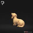 Dachshund-Miniature-Long-Haired-Pose-08-Dog-3D-Print-6s.jpeg Dachshund Miniature Long Haired Pose 08