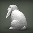 rabbit-ram4.jpg Rabbit ram 3D print model