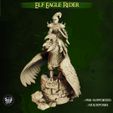 resize-elf-eagle-rider-05.jpg Eagle Rider - High Elves