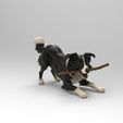 coli1.jpg Border Collie Playing Dog 1/32 Scale – Stick in Mouth Herding Dog Figure for Dioramas