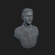 20_007.jpg Nikola Tesla 3D bust ready to print