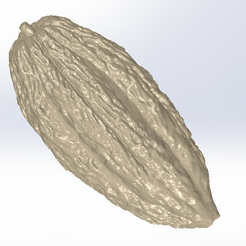 02.Fruto_Cacao.png STL file CACAO FRUIT・3D printing idea to download