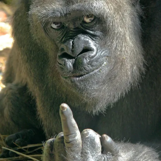 Mittelfinger