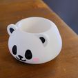 DSCF2906.jpg Cute Panda Planter