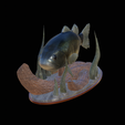 bass-na-podstavci-11.png bass 2.0 underwater statue detailed texture for 3d printing