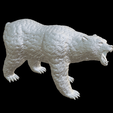 Capture-d’écran-2023-07-06-à-02.07.46.png bear black brown and polar