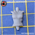 Leather-Torso-2-Photo.png Torso de cuero 2 Charamancer