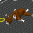 9.jpg PitBull Dog Flexi_Print_In_Place