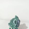 WhatsApp-Image-2023-05-25-at-7.35.39-AM.jpeg Archivo STL Nice flexi raccoon・Objeto de impresión 3D para descargar