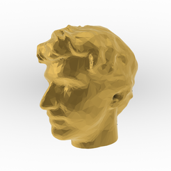 Face-render.png Face model