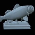 Bass-stocenej-25.png fish bass trophy statue detailed texture for 3d printing