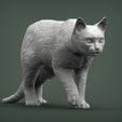 bengal-cat6.jpg Bengal cat 3D print model