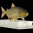 Golden-dorado-statue-7.png fish golden dorado / Salminus brasiliensis statue detailed texture for 3d printing