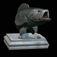 White-grouper-open-mouth-1-6.png fish white grouper / Epinephelus aeneus trophy statue detailed texture for 3d printing