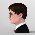 untitled.348.jpg Harry Potter bust ready for full color 3D printing