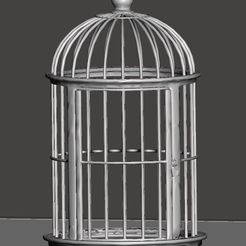 Screenshot_9.jpg Bird Cage