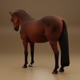 farrahb3.png Farrah, la giumenta di razza warmblood