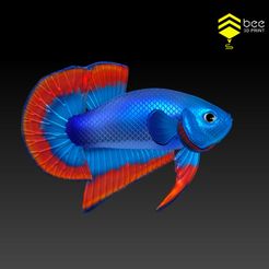 BettaV2_2.jpg STL-Datei Betta Fish 2 - Bereit für 3D-Druck・Design für 3D-Drucker zum herunterladen