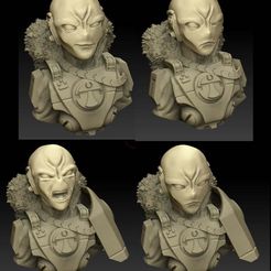 NewCanvas9.jpg Free OBJ file Commander Snowmane Bust and heads・3D printing template to download