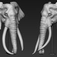 08.jpg Elephant African Head