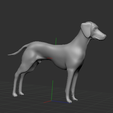 Captura-de-Pantalla-2021-02-07-a-la(s)-22.07.04.png WEIMARANER OR WEIMARANER