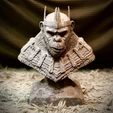 z5226374454987_8f2497a7195eddf0a73fb3ac1a4bba22.jpg Kingdom of The Planet of The Apes Bust