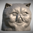 Zrzut-ekranu-2025-06-14-111338.png Persian cat head for 3D printing