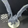 20230520_122328.jpg Red Dragon PRESUP