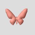 papillon 2.JPG Butterfly