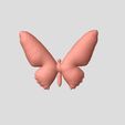 papillon 2.JPG Schmetterling
