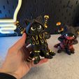 IMG_4879.jpg Ninja Cat