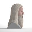 untitled.1745.jpg Dumbledore from Harry Potter bust for full color 3D printing