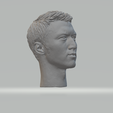 4.png Nicholas Tse - Ting-fung Head 3D print model