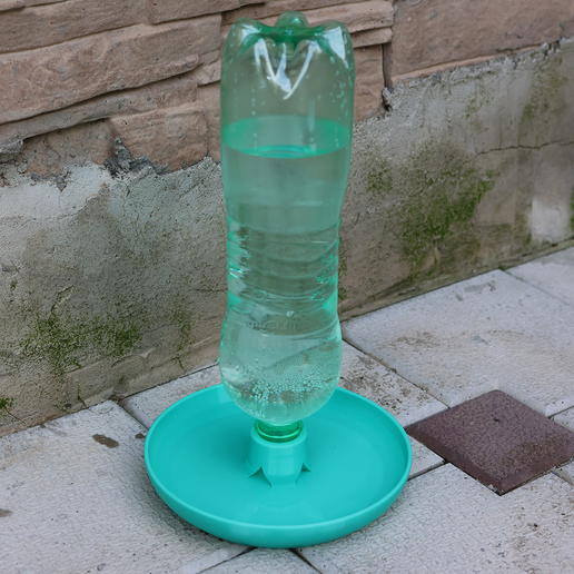 Water bowl for chicks