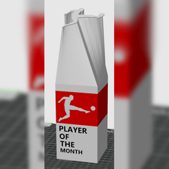 1.png Bundesliga Pokal Player of the Month (POTM)