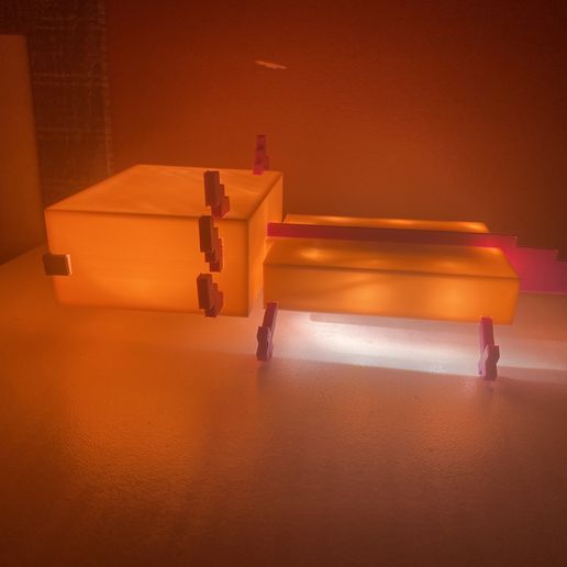 IMG_5800.jpg lámpara axolotl