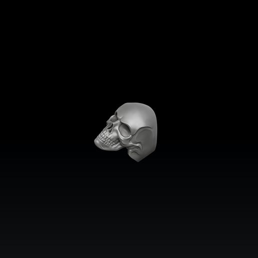 2321323154645665455.jpg Modelo de impresión 3D Skull Ring Version 2