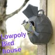 3d-fabric-jean-pierre-low-birdhouse-title-Lt.jpg Casa de pájaros Lowpoly fuerte