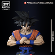 GokuBust9.png GOKU BUST DRAGON BALL