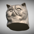 Zrzut-ekranu-2025-06-14-111358.png Persian cat head for 3D printing