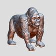 Gorilla_Rubber_001.jpg Gorila de goma - SCAN 3D