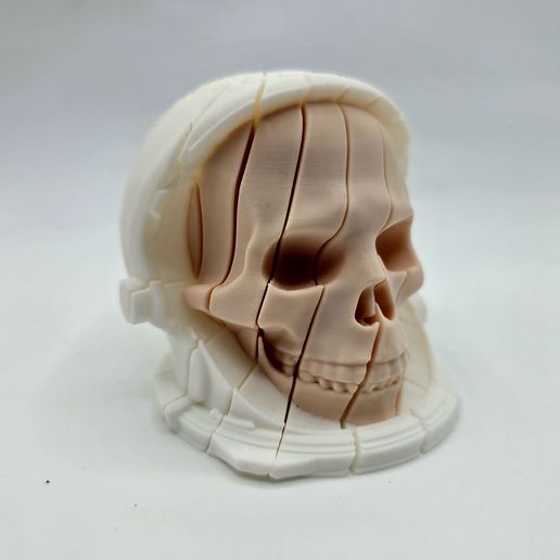 Twist Astronaut Skull Fidgets Full Collection