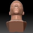 25.jpg Nelly bust for 3D printing