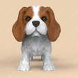 kc02.png Cute Cavalier King Charles Spaniel STL and VRML